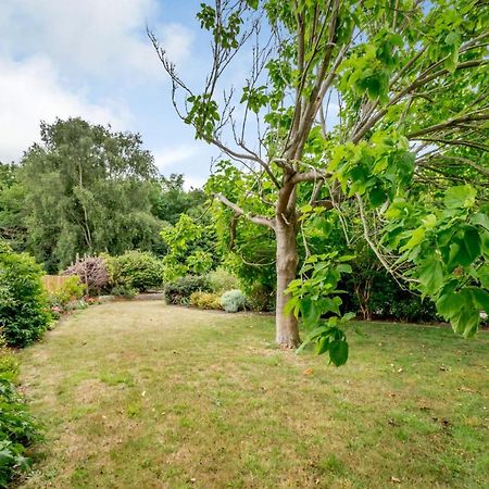Little Thatch Lovely 2-Bed Converted Workshop Near Weymouth Radipole Zewnętrze zdjęcie