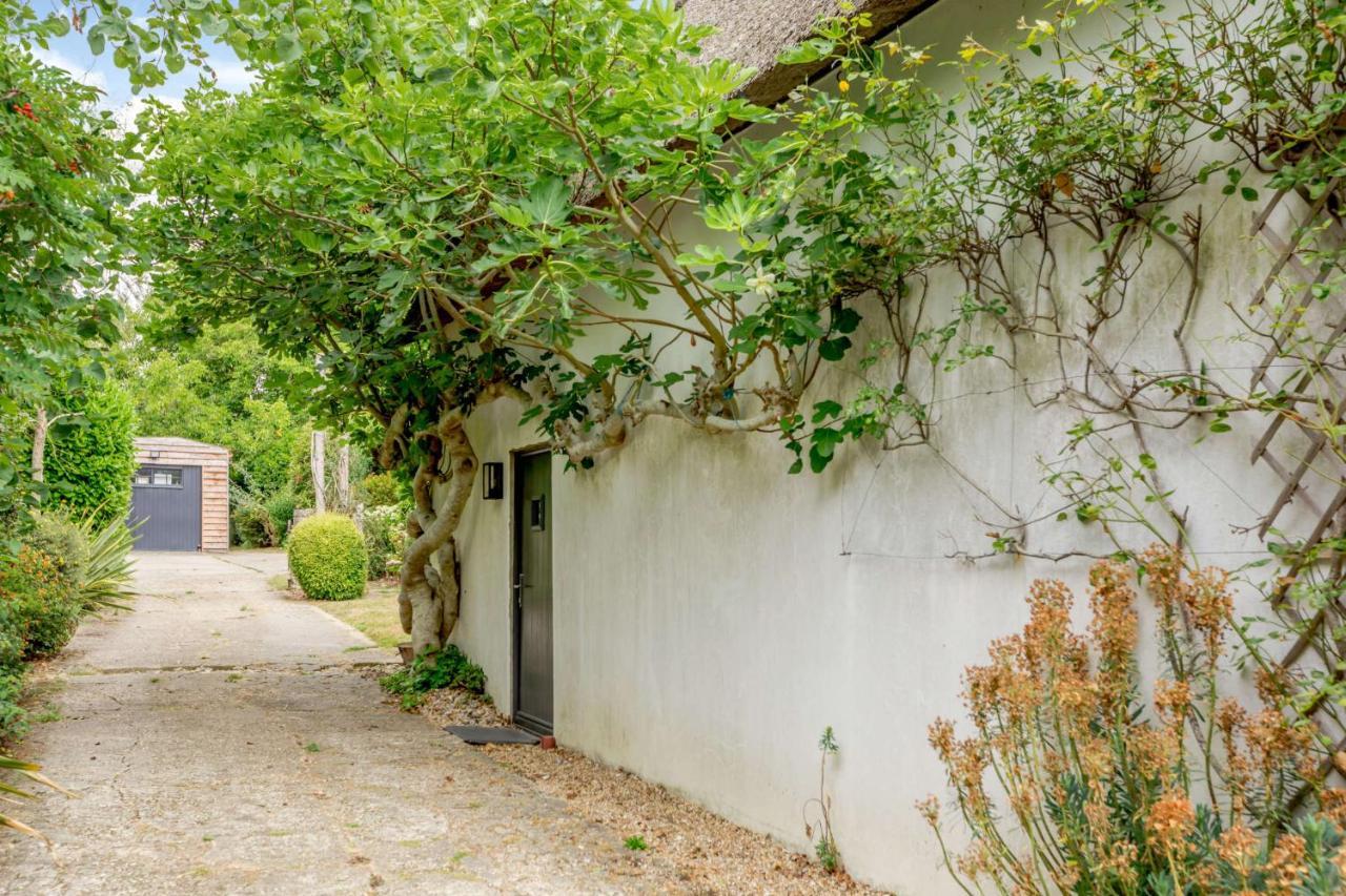 Little Thatch Lovely 2-Bed Converted Workshop Near Weymouth Radipole Zewnętrze zdjęcie